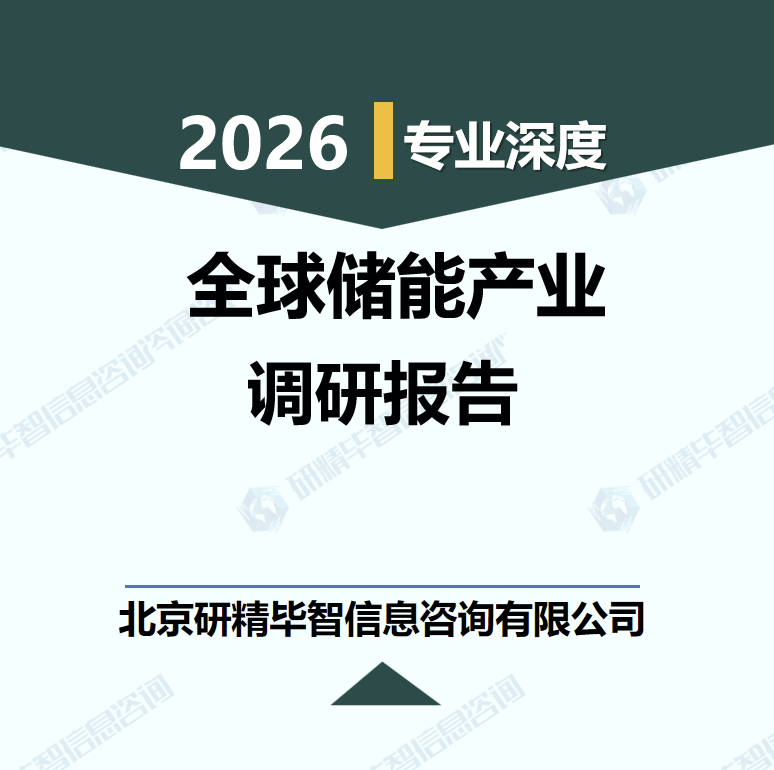 2026-2030年全球储能产业高质量发展现状与投资机遇研究报告
