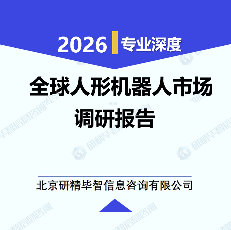 全球人形机器人市场调研报告