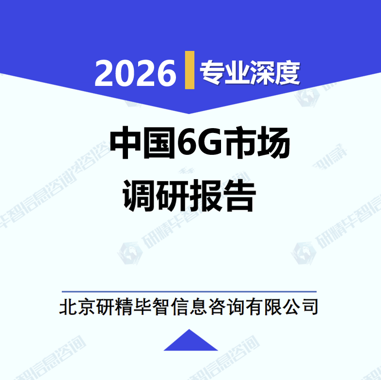 中国6G市场调研报告