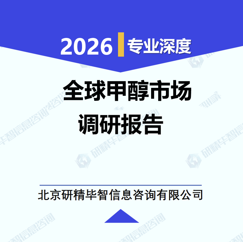 全球甲醇市场调研报告