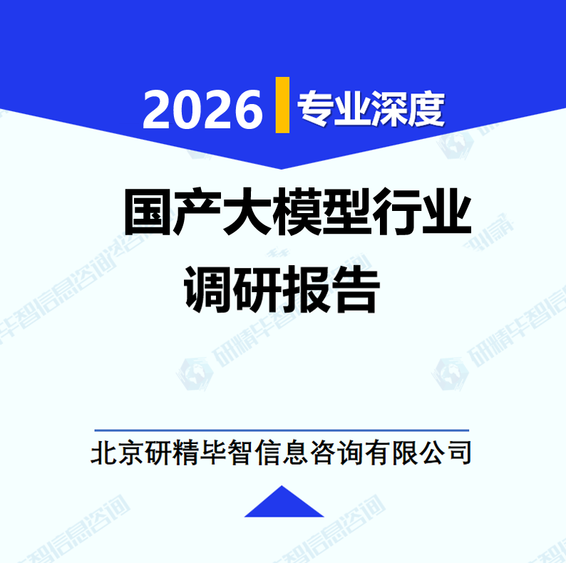 国产大模型行业研究报告