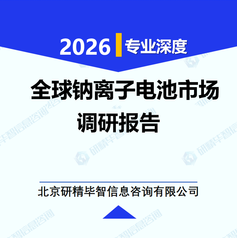 全球钠离子电池市场调研报告