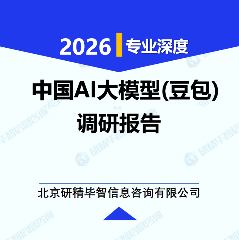 中国AI大模型（豆包）市场调研报告
