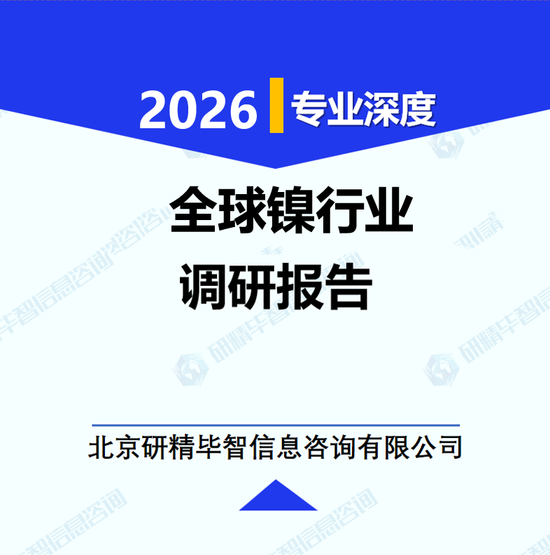 全球镍行业研究报告