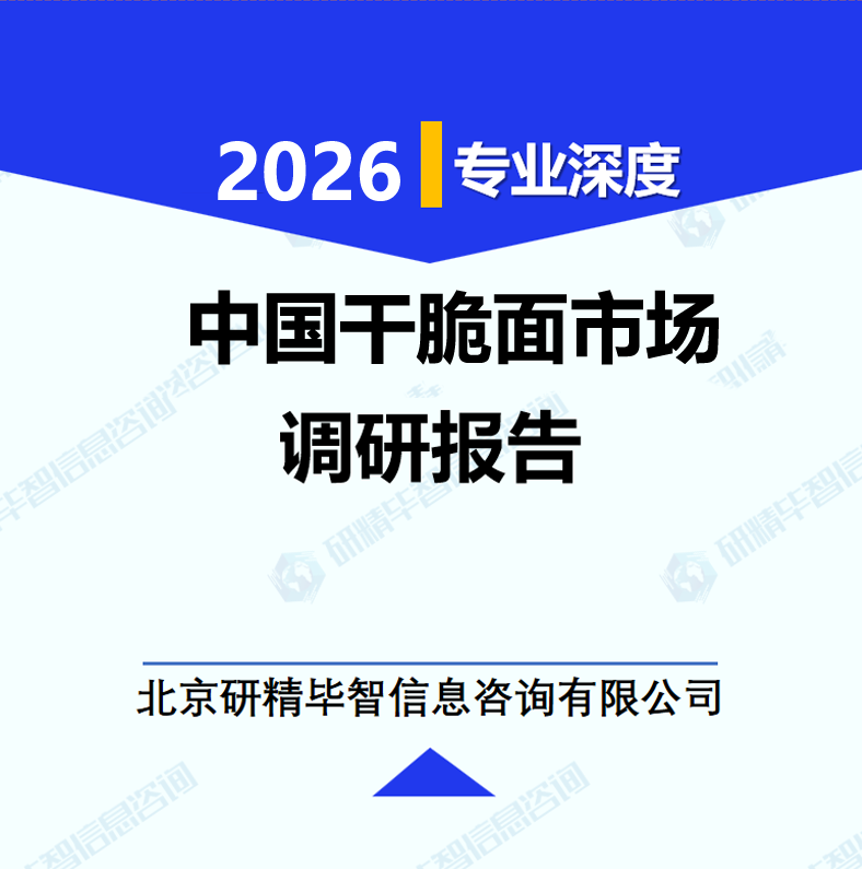中国干脆面市场调研报告